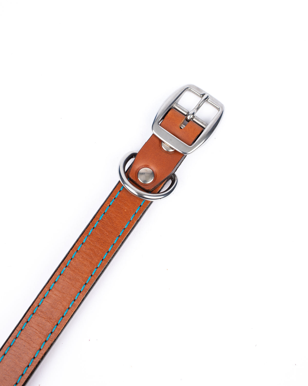 Custom Dog Collar in 12oz English bridle leather, front view
