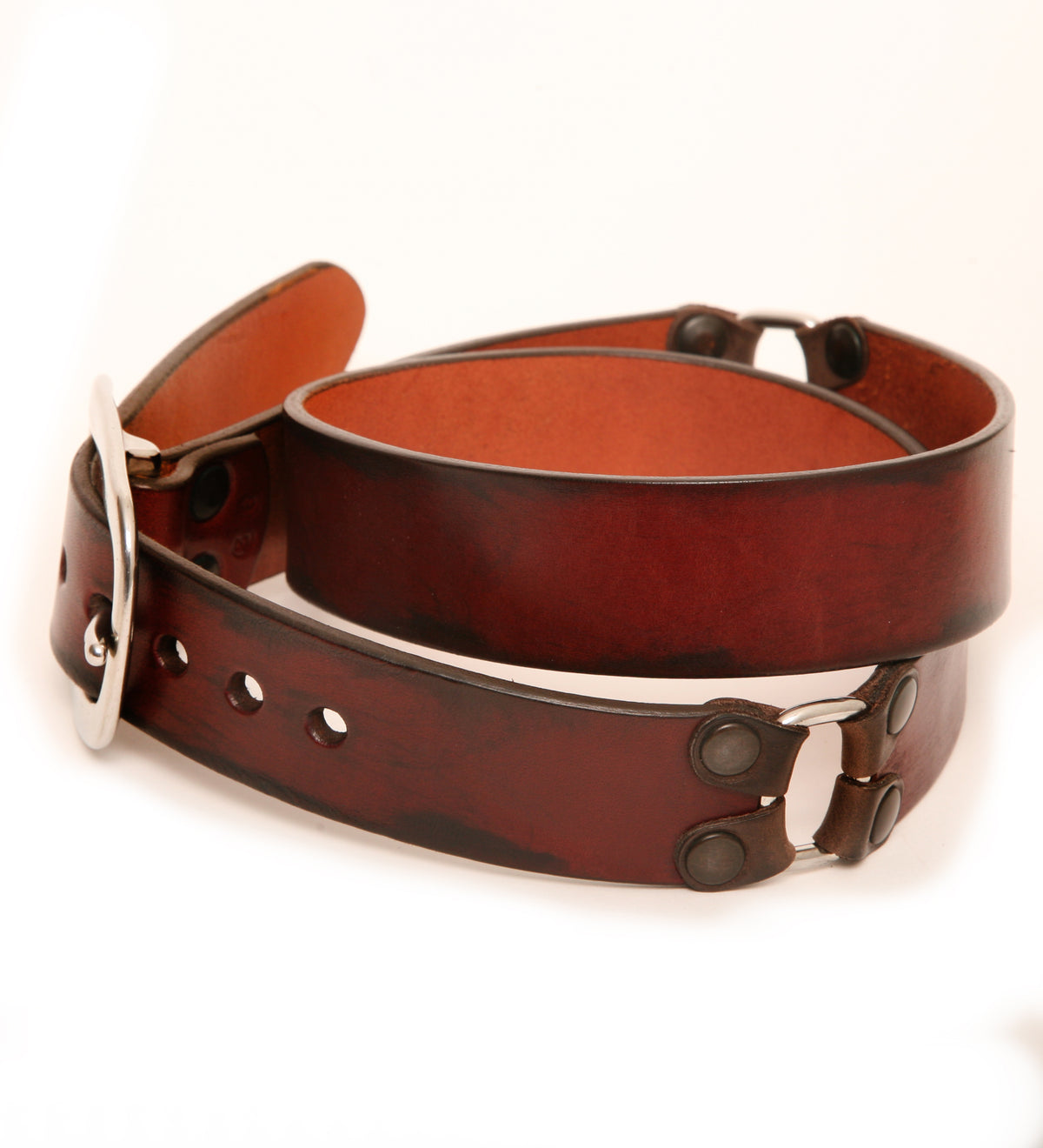 TUG Looped Show oxblood belt in 12oz vegetable-tanned bridle leather, laid flat, full length